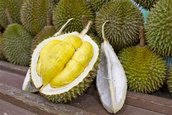 Durian, Kalorie, korzyści i szkody, Przydatne właściwości