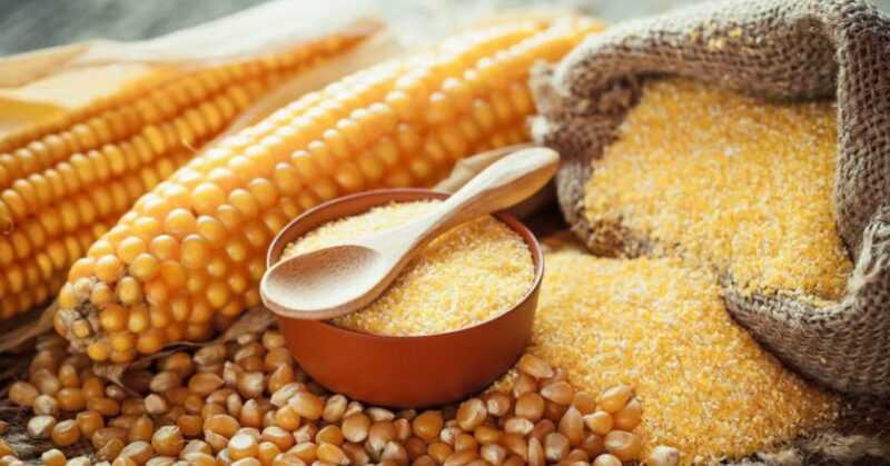 Kasza kukurydziana, Kalorie, korzyści i szkody, Przydatne właściwości