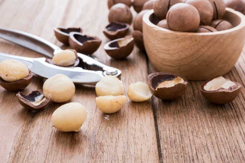 Macadamia, Kalorie, korzyści i szkody, Przydatne właściwości
