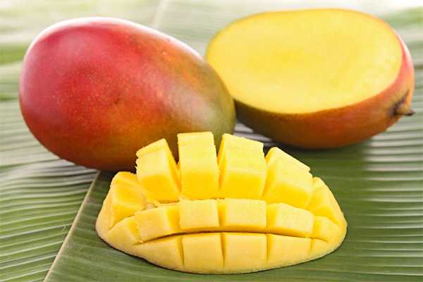 Mango, Kalorie, korzyści i szkody, Korzyści