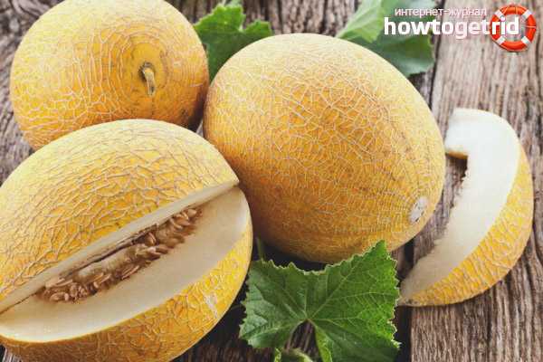 Nasiona melona, ​​Kalorie, korzyści i szkody, Przydatne właściwości