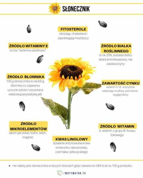 Nasiona słonecznika, Kalorie, korzyści i szkody, Przydatne właściwości