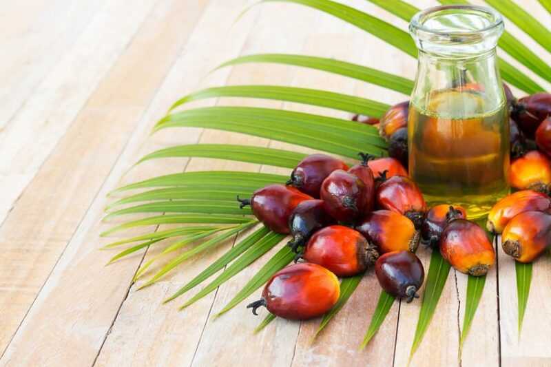 Olej palmowy, Kalorie, korzyści i szkody, Korzyści