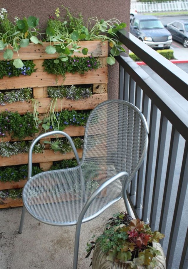 Możesz stworzyć pionowy ogród hydroponiczny na paletach (paletach) zamienionych na „ścianę”