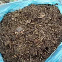 Gleba iglasta jest używana tylko pod rośliny preferujące kwaśne odczyny pH