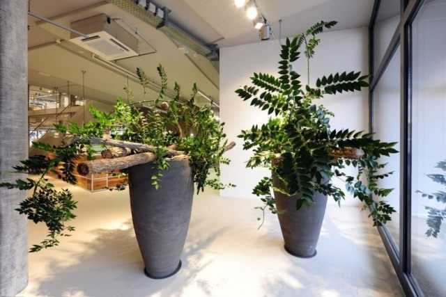 Najlepsze bezpretensjonalne rośliny do biura