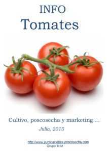 A eficácia do método chinês de cultivo de tomates