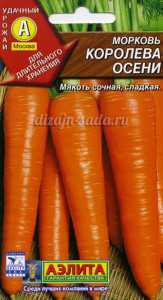 Descrição da variedade de cenoura Rainha do Outono
