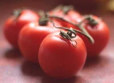 Descrição das variedades de tomate Liang