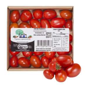 Descrição de tomate Casanova