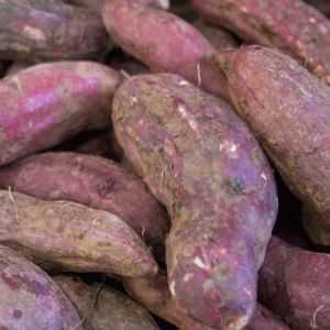 Descrição de variedades de batata roxa