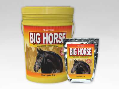 Suplementos vitamínicos e minerais para cavalos