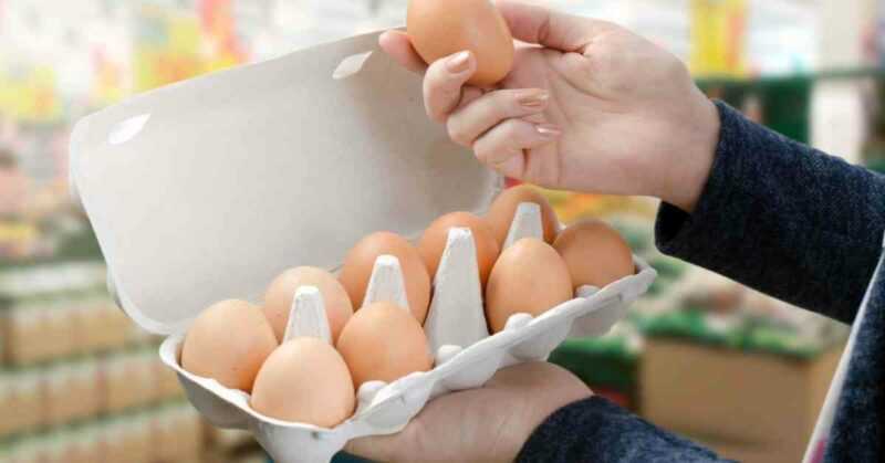 O que fazer se a casca do ovo diminuir e a casca enfraquecer