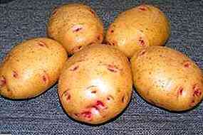 Descrição de batatas Zhuravinka