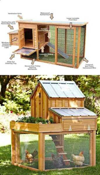 Como construir um celeiro para coelhos