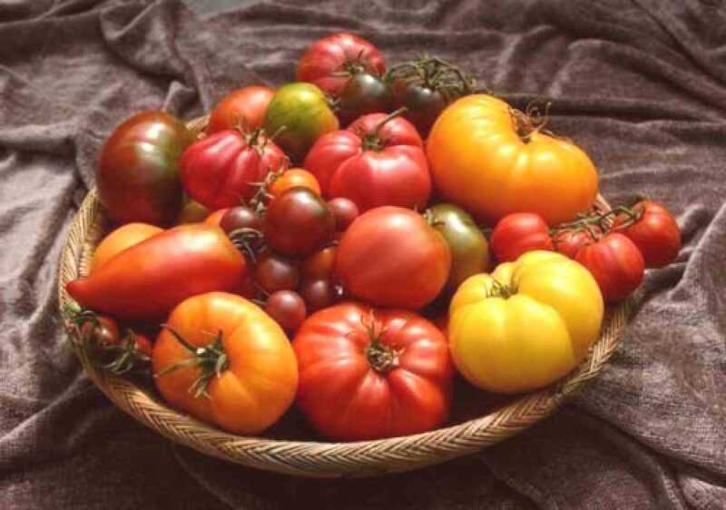 As razões para torcer os topos dos tomates
