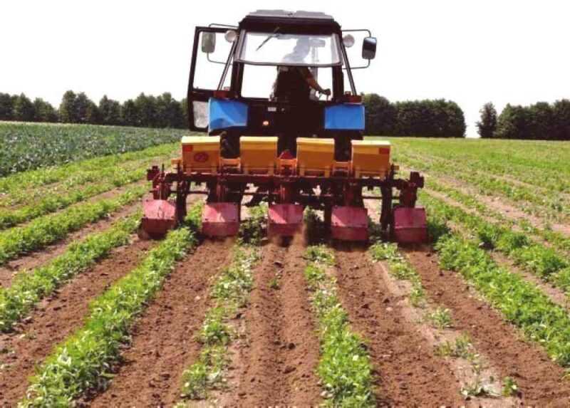 O princípio da tecnologia holandesa para o cultivo de batatas
