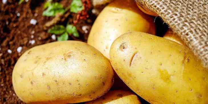 O que pode sonhar com batatas