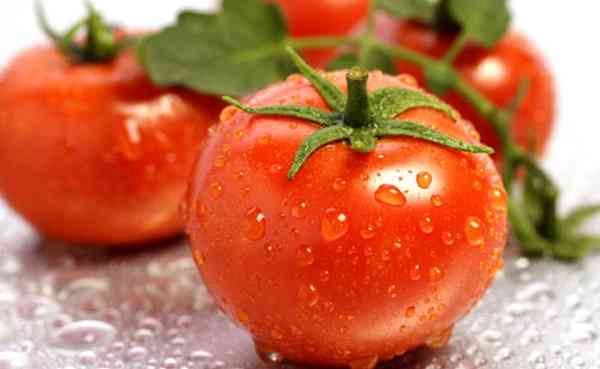 Descrição da variedade de tomate Viagra