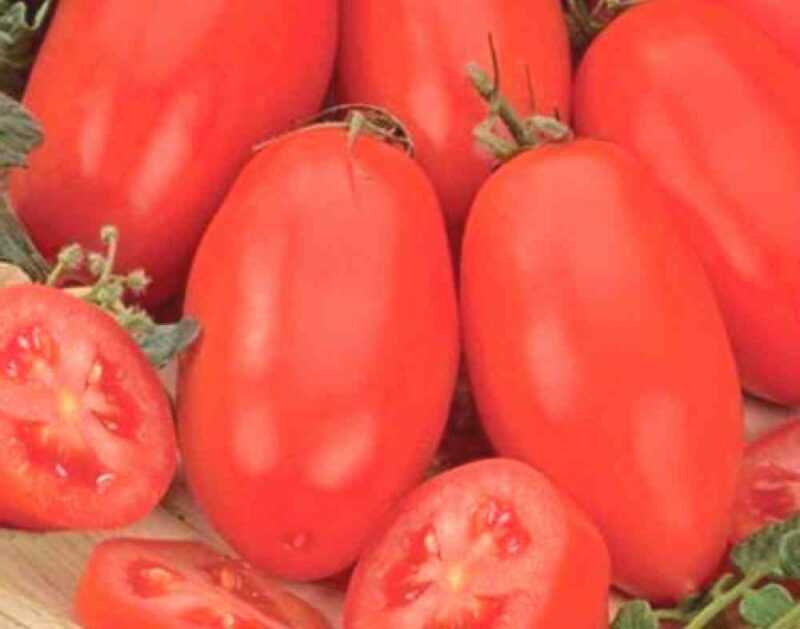Descrição e características dos tomates da variedade Linda