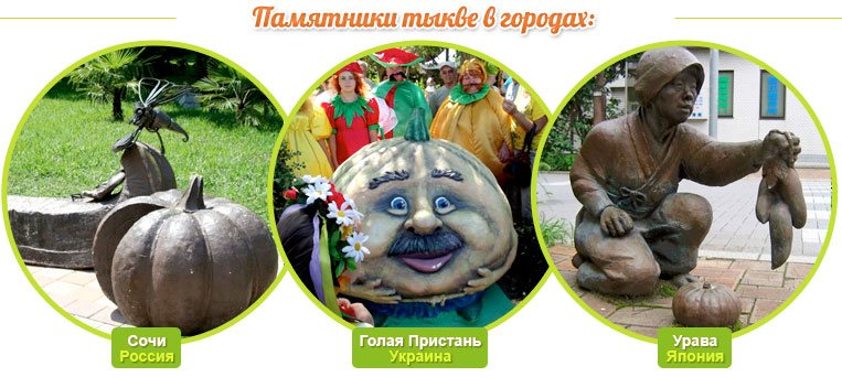 Monumentos à abóbora nas cidades: Sochi (Rússia), Golaya Pristan (Ucrânia), Urava (Japão)