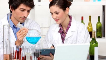Cientistas estudam uvas e vinho em laboratório