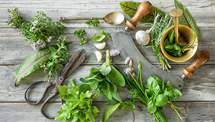 Salsa e outros ingredientes da medicina tradicional