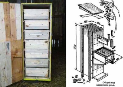 Colmeia de cassetes para abelhas criadoras de pavilhões