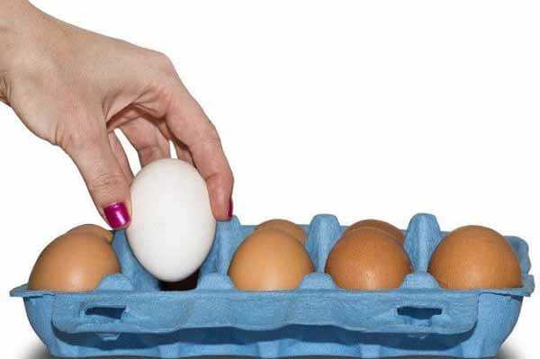 Ovo de avestruz, calorias, benefícios e malefícios, propriedades úteis