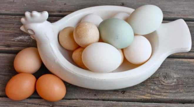 Ovos de pato, calorias, benefícios e malefícios, propriedades úteis