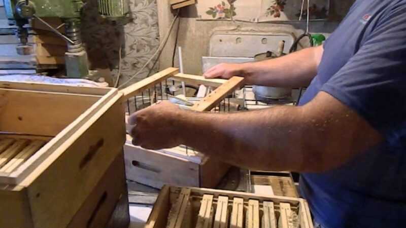 Jibóia colmeia - fabricando com as próprias mãos