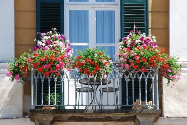 Flores na varanda