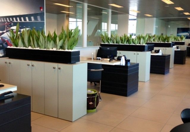 Plantas no escritório
