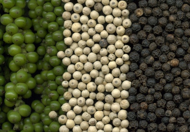 Pimenta preta: verde, seca sem pele e seca com pele