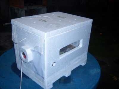 Cum să construiești un incubator de prepelițe –
