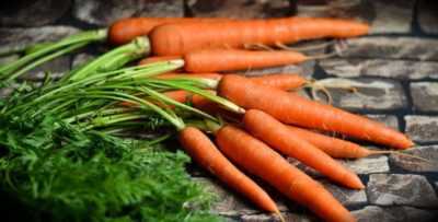 Ce duce la spargerea morcovilor –
