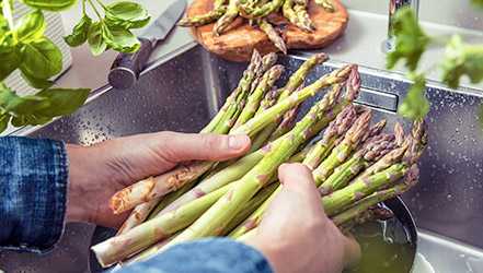 Asparagus, Kalori, faida na madhara, Mali muhimu –