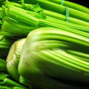 Celery, Kalori, faida na madhara, Mali muhimu –