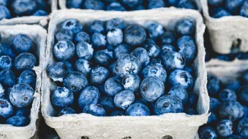 Blueberries, Kalori, faida na madhara, Mali muhimu –