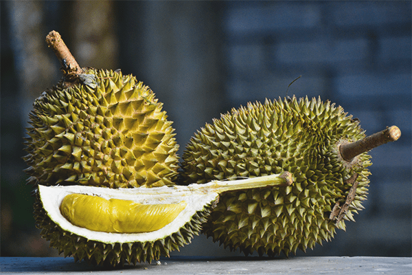 Durian, Kalori, faida na madhara, Mali muhimu –