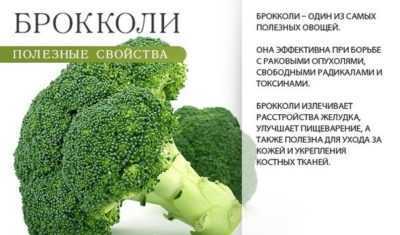 Açık alanda brokoli yetiştirme prensibi