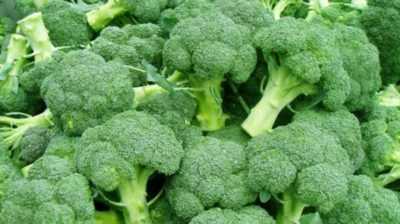 Açıklama lahana brokoli Tonus