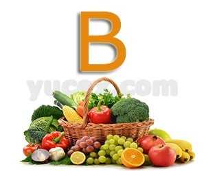 B harfinde salatalık çeşitleri içerir