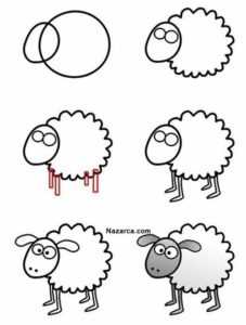 Bir koyun kalemi nasıl yapılır
