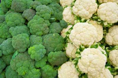 Brokoli’nin karnabahardan farklılıkları