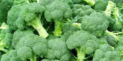 Brokoli’nin yararlı özellikleri