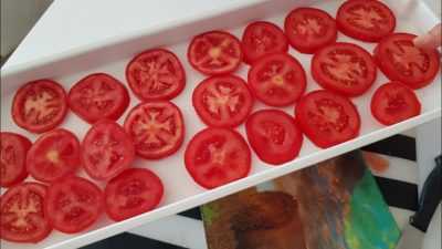 Dondurucudaki domatesler nasıl dondurulur