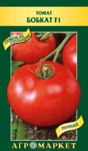 Ekimden önce domates tohumlarını ıslatma kuralları