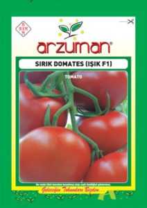 En iyi Zedek domates tohumları