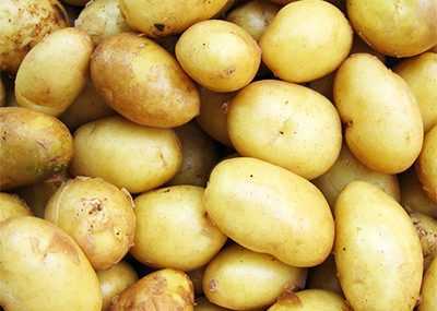 Gübre olarak patatesler için üre